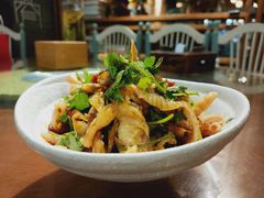 化骨绵掌-付掌柜在成都·热炒砂锅集(金禾店)