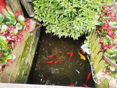 -老洋房花园饭店(绍兴路店)