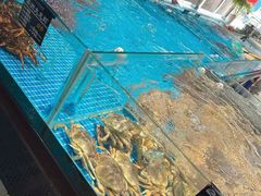 水产区-苏先生海鲜渔庄(金桥店)