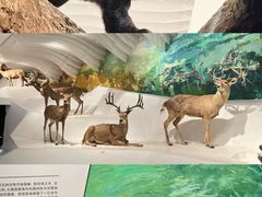 -重庆自然博物馆(新馆)