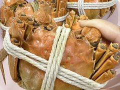 -阳澄湖大闸蟹·琼灵阁牌品牌连锁(吴中总店)