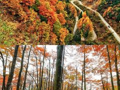 -光雾山旅游景区