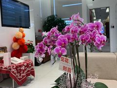 -招商银行(上海漕河泾支行)