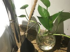 -麦子MaiMassage(打浦桥店)