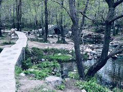 -玉渡山自然风景区