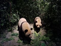 -武汉园博园(武汉自然博物馆)