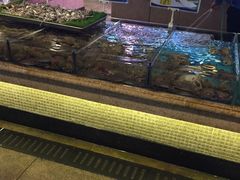 -渔公码头·九龙湾国际饭店