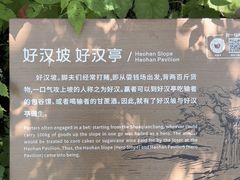 -秦岭终南山世界地质公园翠华山景区