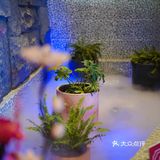 龙虾一盘，快乐加倍，好吃的东西要吃进肚子里