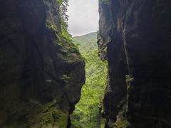 -牛背梁国家森林公园