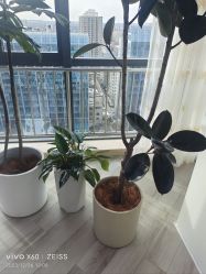-HEYAN荷妍专业脱毛连锁机构