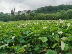-贵阳市花溪国家城市湿地公园