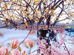 -大唐不夜城