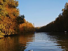 -上海海湾国家森林公园