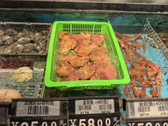 -甬上名灶(天一阁·翠柏店)