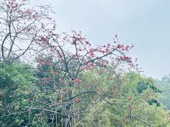 -水濂山森林公园