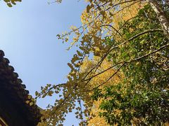 -西园戒幢律寺