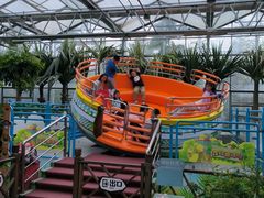 -南宫五洲植物乐园