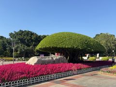 -南宁南湖公园