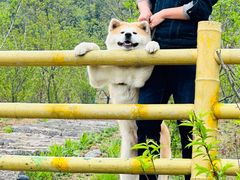 -冶父山国家森林公园