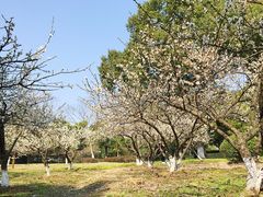 -白马涧龙池景区