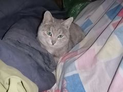 -七宝爱心献血屋