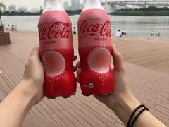 -台场海滨公园船码头