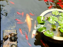 -狼山风景名胜区