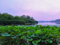 -丁香湖公园