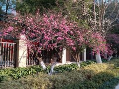 -浙江大学医学院附属第一医院(庆春院区)