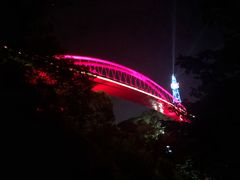 -金鸡山公园