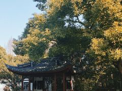 -汇龙潭