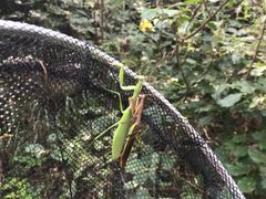 -碓臼峪自然风景区