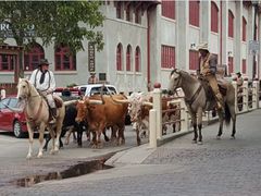 -达拉斯 沃斯堡国际机场