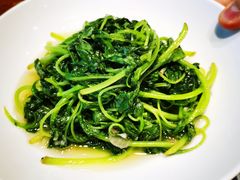 清炒米苋-望乡楼上海菜(日月光店)