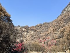 -少华山国家森林公园
