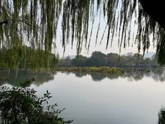 -西湖游船