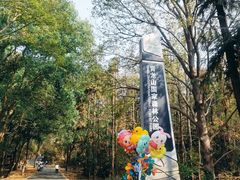 -青龙山国家森林公园