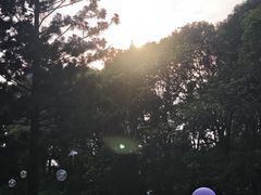 -人民公园(罗湖区)