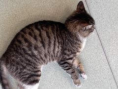 -中田健身工作室(嘉定江桥店)