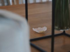 -猫里有甜