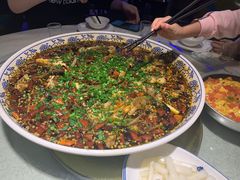 -新概念来凤鱼(璧山店)
