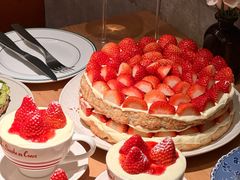 -O'eat Blossom&Pelican(深圳首店)