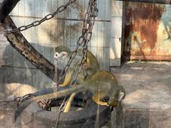 -昆明动物园