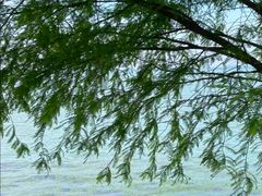 -苏州东太湖生态园
