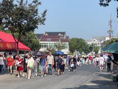 -观潮胜地公园