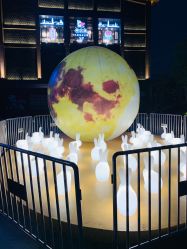 -恐龙探索乐园(磁器口店)