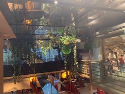 -造物庄园 萌宠纪(苏州湾歌林公园店)