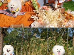 -太阳岛旅游度假区
