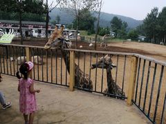 -大连森林动物园